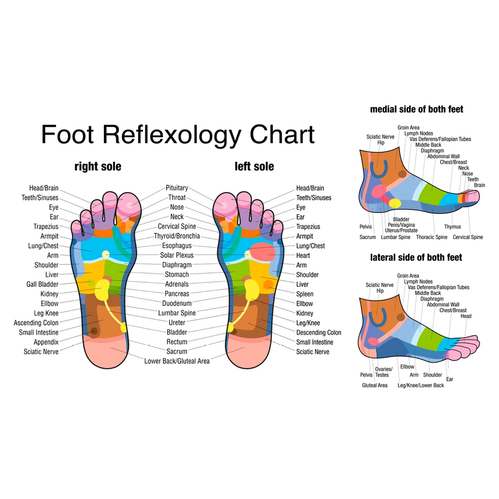 Il rullo per massaggio ai pied - Reflexology Foot Roller recensione e prezzo
